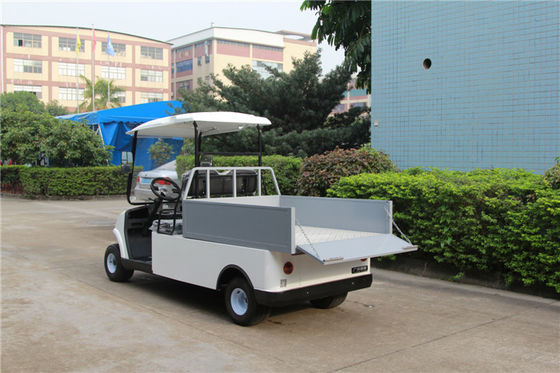 两座电动小货车 LQF047 白色带货蓝